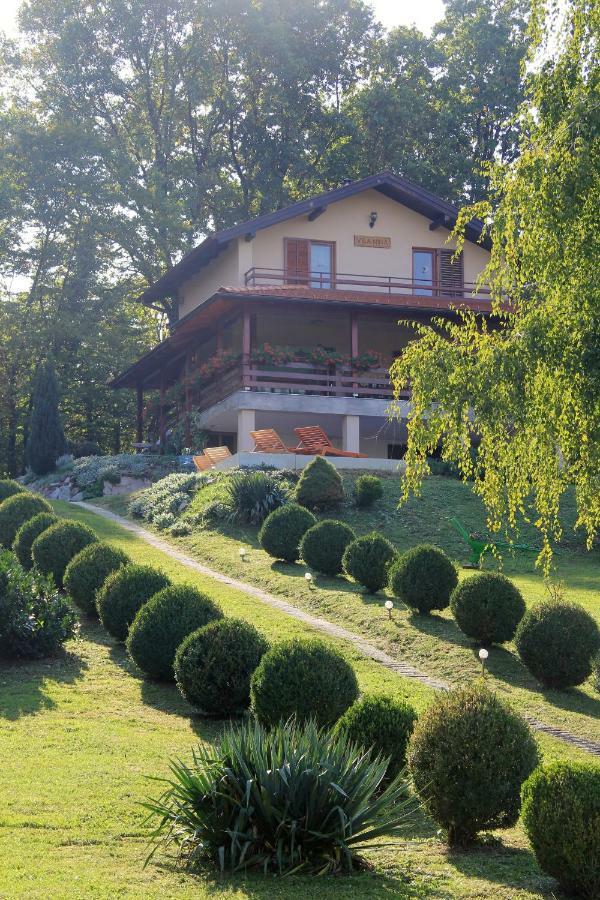 Holiday Home Nina Petrinja Exteriér fotografie